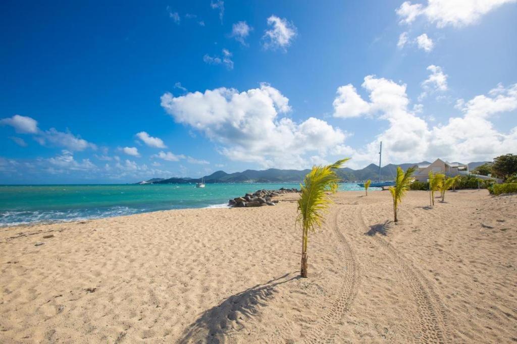 Elba Nettle Bay Beach Club Sandy Ground Bagian luar foto