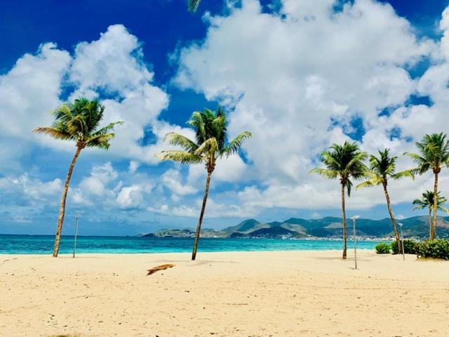 Elba Nettle Bay Beach Club Sandy Ground Bagian luar foto